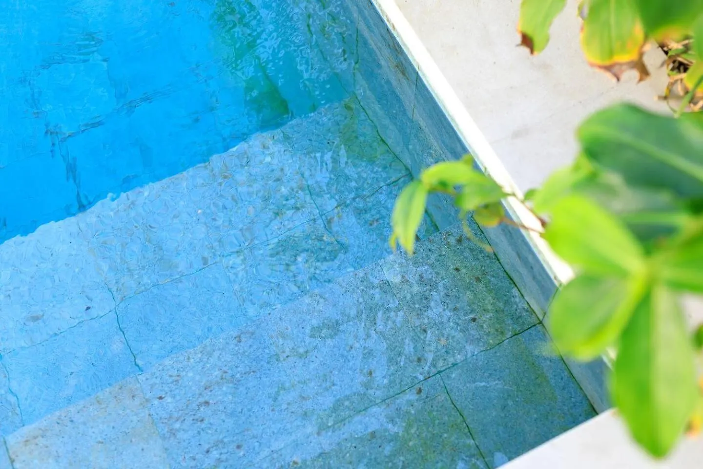 Gorgeous 1 Bed Pool Villa, Walk To Beach, Shops Nusa Dua